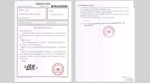 從“辣條之光”到行業(yè)標(biāo)桿 佳龍食品的創(chuàng)新與匠心挑戰(zhàn)